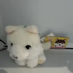 Item thumbnail for item 99a2a104-13a1-48c5-b395-f7455e4165e4