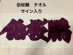 Item thumbnail for item c8cea8a7-ea1e-44ac-be2f-5cf74731efea