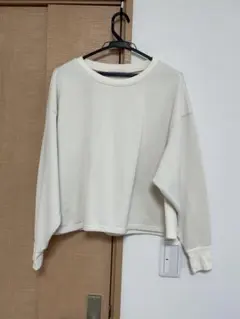 Item thumbnail for item cffd2197-f2a8-4e21-973f-9000a5a08ca8