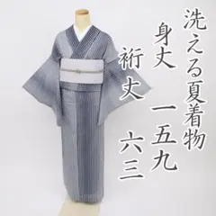 セール【洗える夏着物】絽 小紋＊長尺 トールサイズ 大小霰 紺 化繊