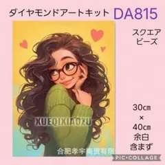 DA815★ダイヤモンドアートキット★スクエアビーズ