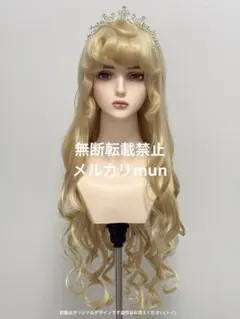 Dハロ仮装　オーロラ姫ウィッグ　イメージ　マネキンあり 今年2回目のDハロ仮装は初のオーロラ姫のブルードレス