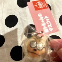 ご当地加トちゃんキーホルダー／ストラップ　未開封　62個セット 2025年最新】加トちゃん ご当地の人気アイテム - メルカリ