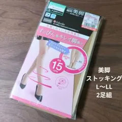 fukuske CLOSSHI ストッキング L〜LL 2足組