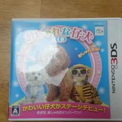 おしゃれな仔犬3D