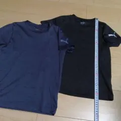 PUMA Tシャツ 2枚セット サイズ140 ネイビー ブラック