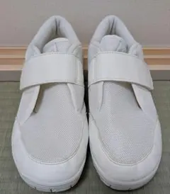 Item thumbnail for item d70a4a57-ce04-4740-8549-750f028ce687