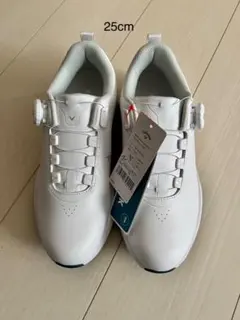 Item thumbnail for item 5d1c3d53-8f41-4c5a-b1e6-f1a85befaffb