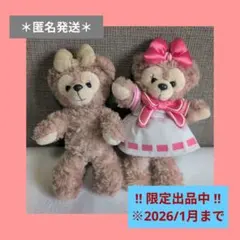 【値下げ中】限定2点セット｜シェリーメイ｜ぬいぐるみ｜キーホルダー｜チェーン付