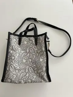 CLOSSHI 女性　ハンドバッグ　ペイズリー　しまむら