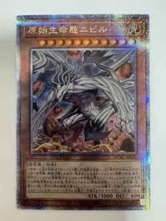 2025年最新】ニビル 25th 絵違いの人気アイテム - メルカリ