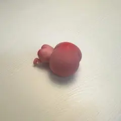 カクレモモジリ