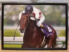 Item thumbnail for item 940a4bb3-22a2-4115-af4b-851c8cbd71bc