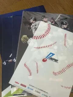 Item thumbnail for item 80b79801-5573-47d3-b589-a4c92c241ea1