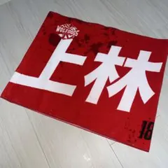 Item thumbnail for item 32323884-70ee-48bd-ab9a-efe5836412a0