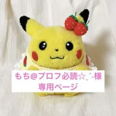 もち@プロフ必読‎☆ˎˊ˗様専用ページ