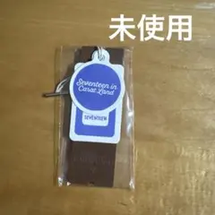 SEVENTEEN CARAT LAND 2024 ケレン デジコ