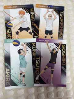 ハイキュー‼︎ 強化合宿組　ポストカード4枚