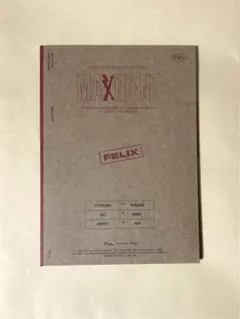 Stray Kids Maxident case ver フィリックス