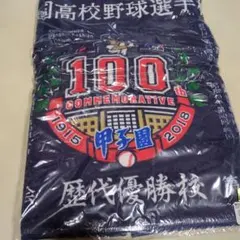 Item thumbnail for item 6dc2dabd-7e8b-47c0-9927-e6fed6954e6f