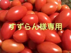 すずらん様専用