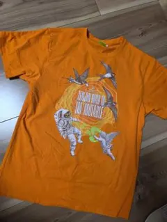 オレンジ Tシャツ ゼンジン未到とイ ミュータブル L ①のサムネイル