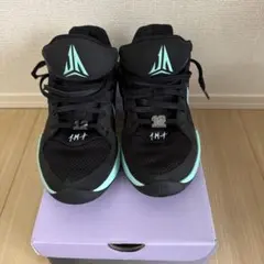 NIKE ジャ 2 EP
