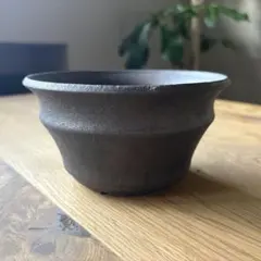 手作植木鉢 丸型模様の黒い植木鉢（ 塊根植物 グラキリス パキプス