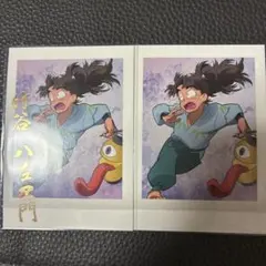 竹谷八左ヱ門ぱしゃこれ