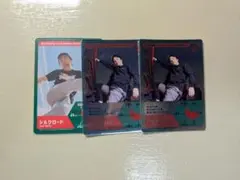 Fischer's グリーニア トレーディングカード シルクロード 3枚セット