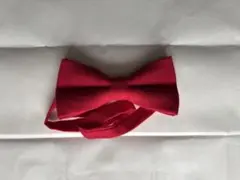 蝶ネクタイ　赤