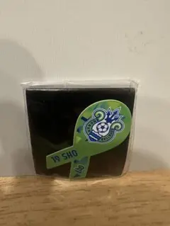 湘南ベルマーレ　グッズ