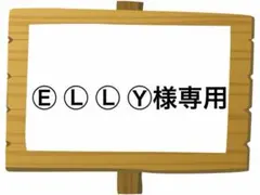 Ⓔ Ⓛ Ⓛ Ⓨ様 リクエスト 2点 まとめ商品