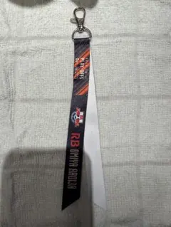 RB大宮アルディージャ千葉戦 プレーオフ マッチデーボンフィン