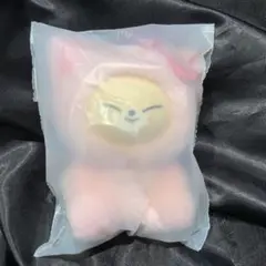 スキズ 韓国 ペンミ SKZOO ぬいぐるみ　PLUSH TOY Ver.