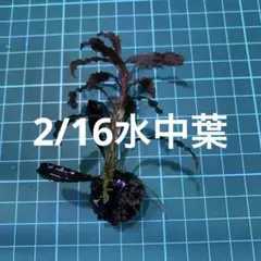 縁々様 リクエスト 2点 まとめ商品