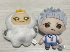 星海光来　ぬいぐるみセット