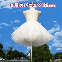 Item thumbnail for item e90b918d-a4b1-4be4-bcd5-8485f581660d