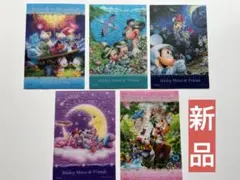 ディズニー　ミッキー　ミニー　ドナルド　グーフィー　クリアパズル 70ピース