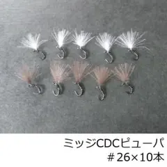 Item thumbnail for item 1586b93c-04a7-43ac-80e0-c95933d6ea65