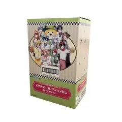 カラフルピーチ マグネットコレクションガム カラピチダイナー 14個入りBOX