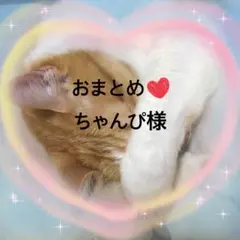 ちゃんぴ様 専用