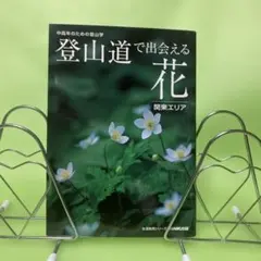 Item thumbnail for item 1ceba898-d3a0-41b5-9c1b-dba86d7befe2