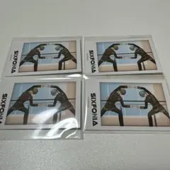 シクフォニ 暇なつ 暇72 雨乃こさめ チェキ トレカ 3D