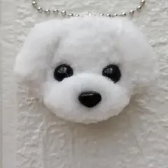 Item thumbnail for item 7f711ea3-1bae-4340-89ea-dac9b4fea5da