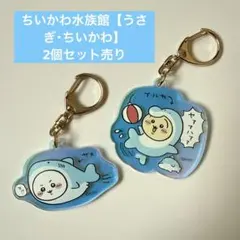 ちいかわ水族館 オーロラアクリルキーホルダーコレクション【うさぎ・ちいかわ】