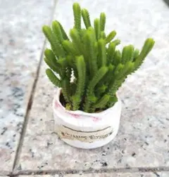 ルビーママ様 リクエスト 3点 まとめ商品