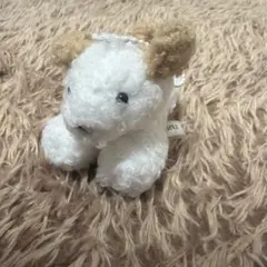 てのひらわんこ ガチャガチャ ぬいぐるみ
