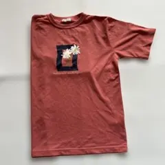 Fox Fi re レディースTシャツのサムネイル