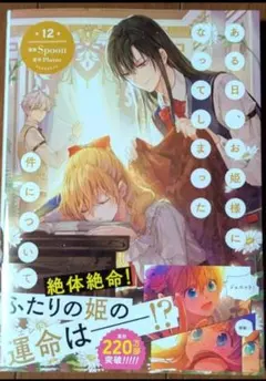 ある日、お姫様になってしまった件について 12巻 Spoon Plutus 漫画